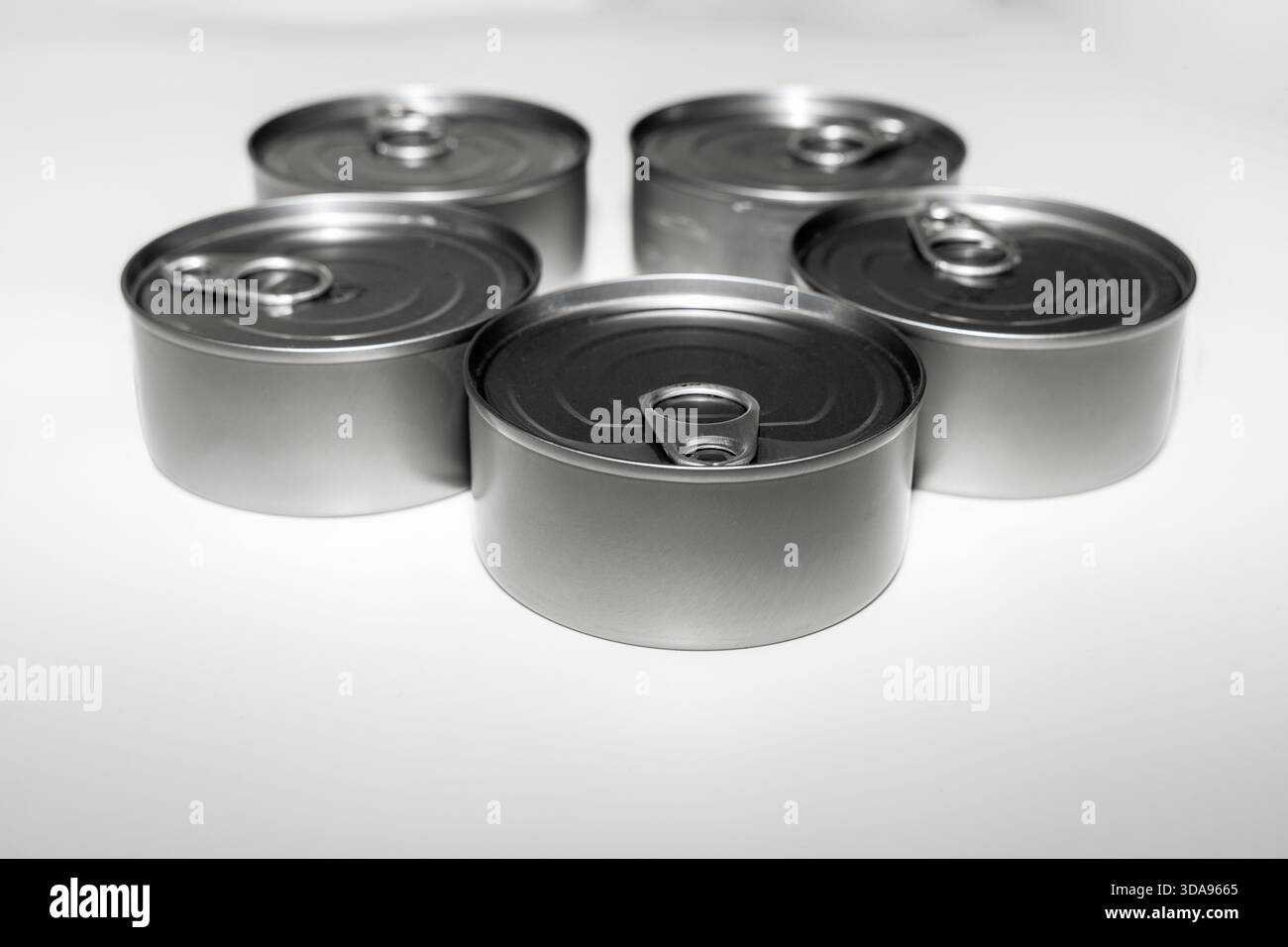 Gruppo di tonniere disposte insieme su una superficie bianca. Foto Stock