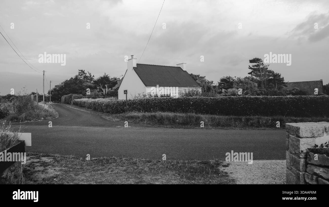 Casa solitaria accanto ad una tranquilla strada di campagna, circondata da siepi e alberi in tonalità di bianco e nero. La scena trasmette calma solitudine e quiete rurale Foto Stock