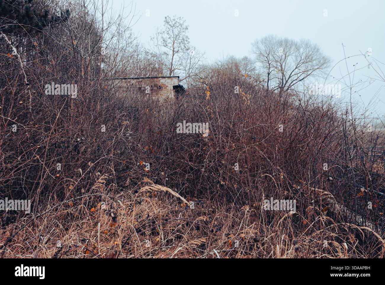 Paesaggio cinematografico dai colori autunnali Foto Stock