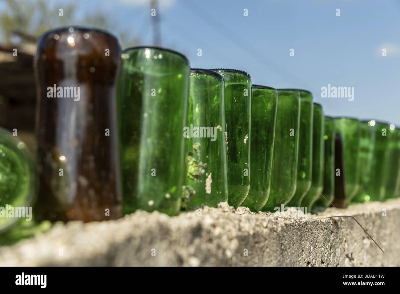 Fila di vecchie bottiglie di vetro su pareti in pietra alla luce del sole, Fier, Albania Foto Stock
