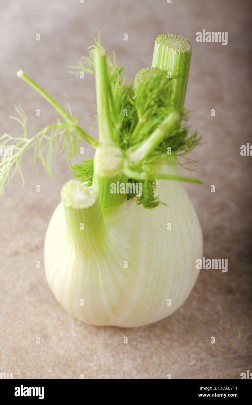 Fresco il cibo vegetariano. Il finocchio su una superficie in legno Foto Stock