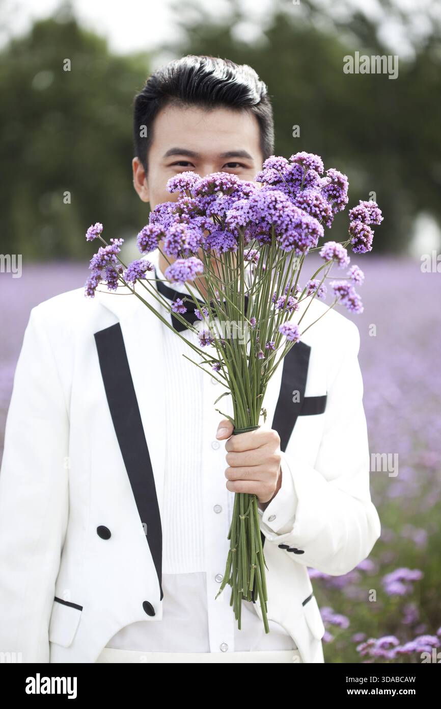 Il govern tenendo un mazzo di fiori di lavanda Foto Stock
