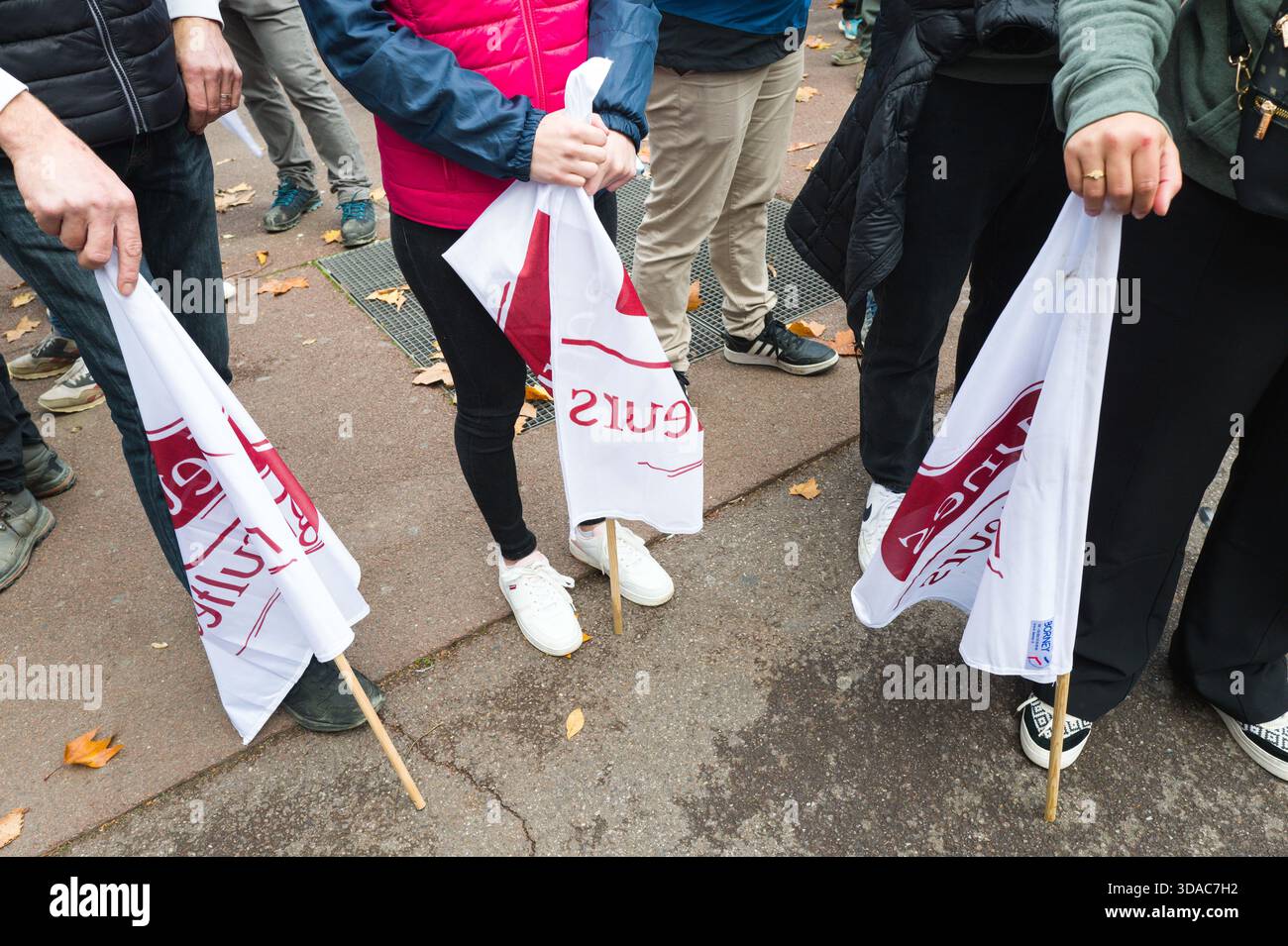 Bandiere, giovani agricoltori. Una manifestazione di agricoltori a Tolosa di fronte alla città amministrativa, indetta dal Sindacato dei giovani agricoltori dell'Occitania. Foto Stock