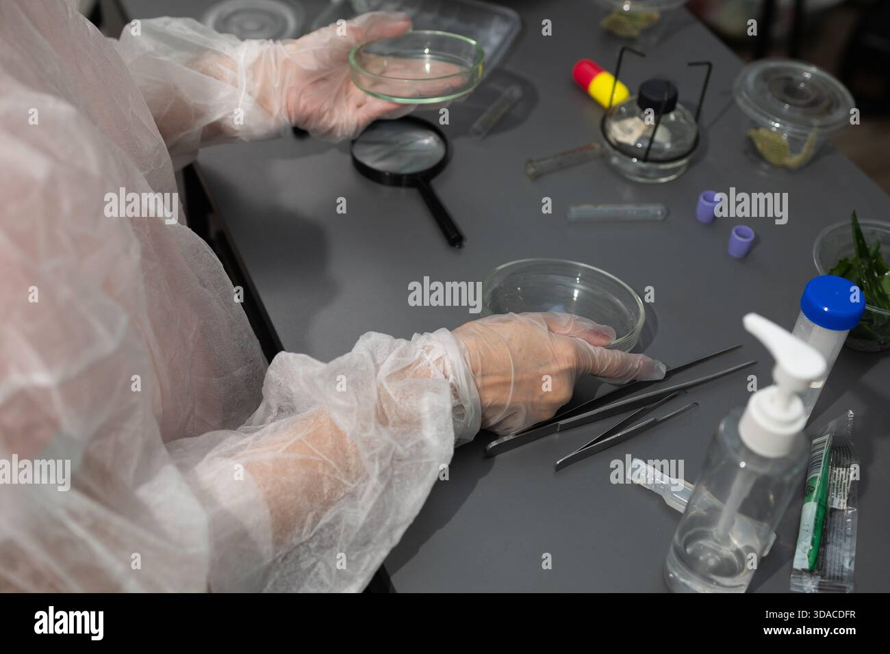 I ricercatori in attrezzature protettive conducono uno studio analitico sulle proprietà delle piante di aloe. Utilizzano vari strumenti e materiali per esplorare le sue applicazioni in un ambiente di laboratorio. Foto Stock