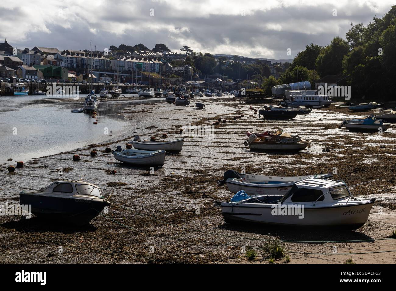 Barche con bassa marea nel porto di Caernarfon Foto Stock