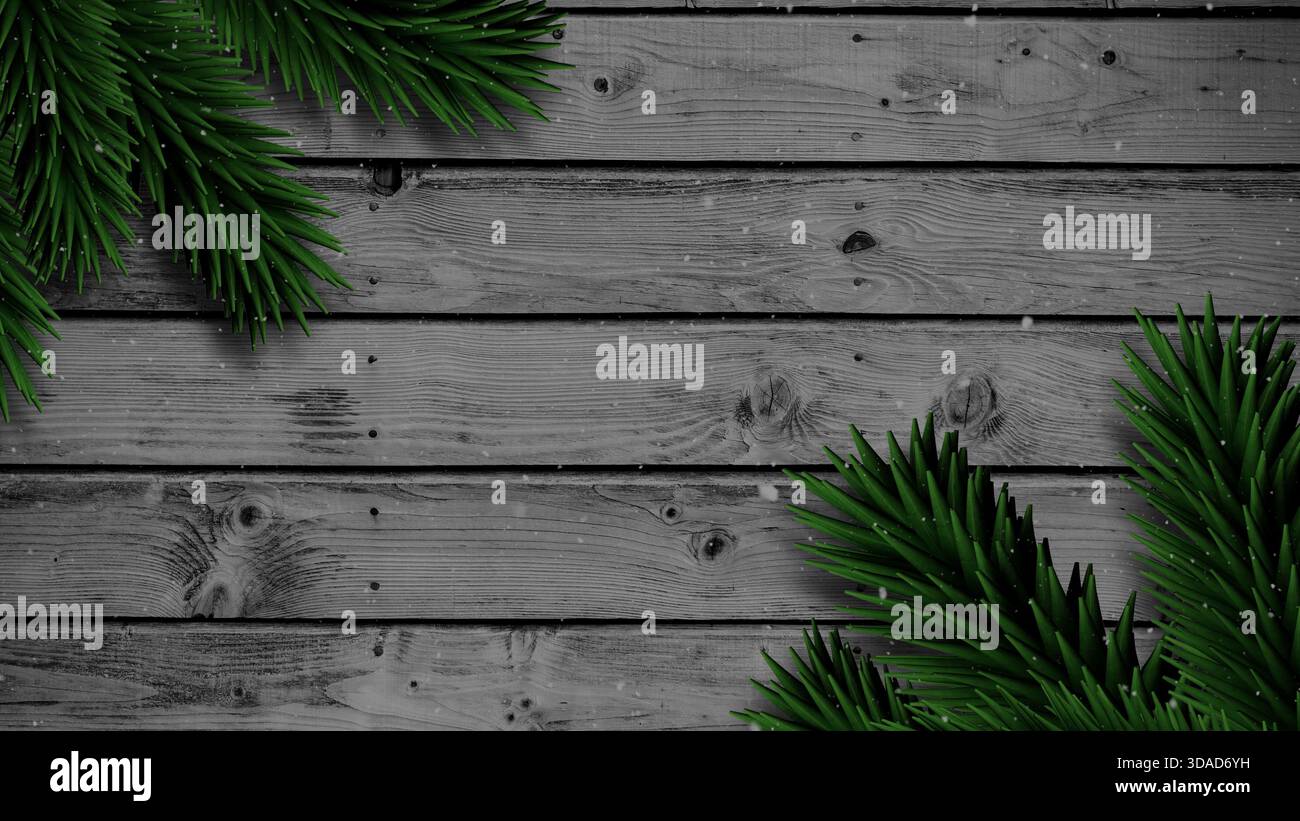 Design piatto con tavole di legno grigie con rami di pino spolverati di neve, tema aziendale, spazio per copie Foto Stock