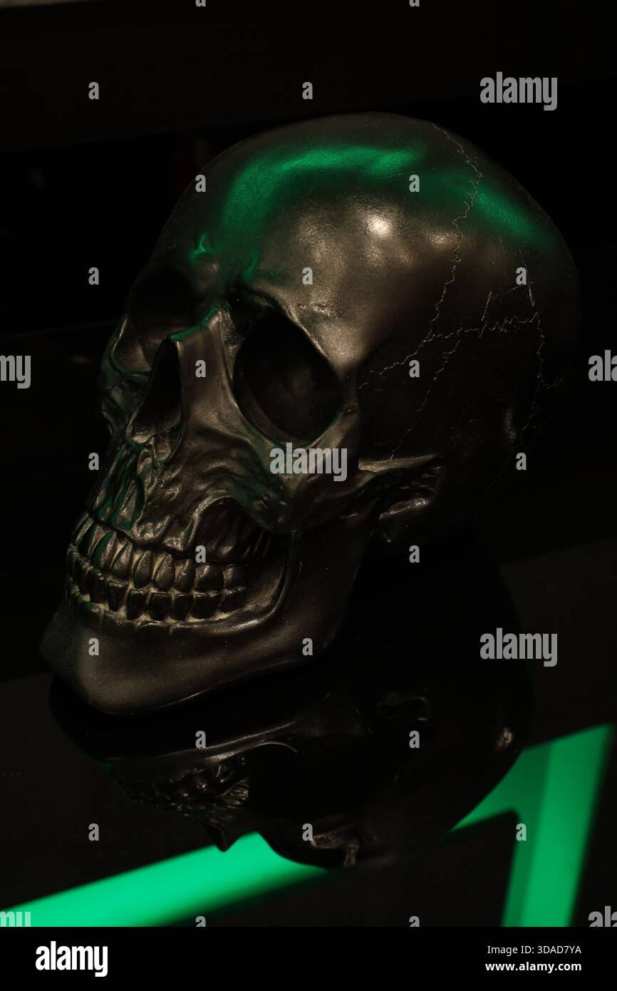 Descrizione: Un ornamento nero del cranio illuminato da un'illuminazione d'accento verde, appoggiato su una superficie lucida riflettente. Foto Stock