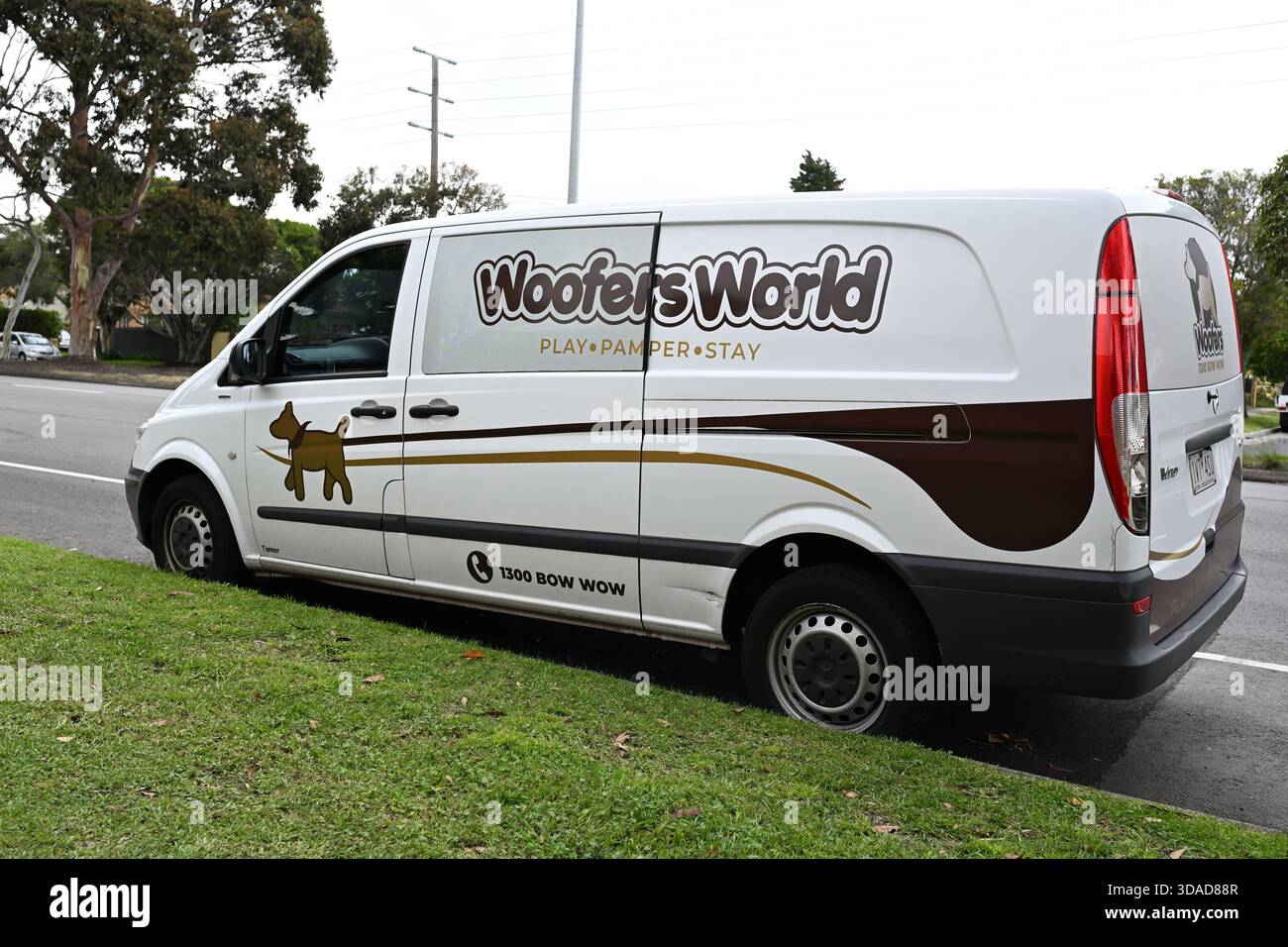 Il furgone Mecedes Benz Vito, appartenente al Woofers World Dog Care, parcheggiato sul lato della strada durante una giornata nuvolosa Foto Stock