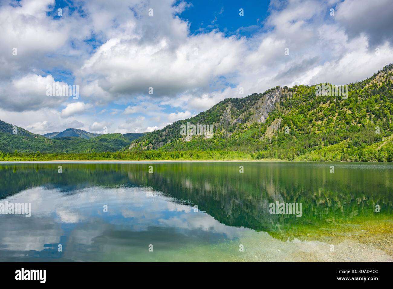 lago Offensee in primavera, Austria, alta Austria, Salzkammergut Foto Stock