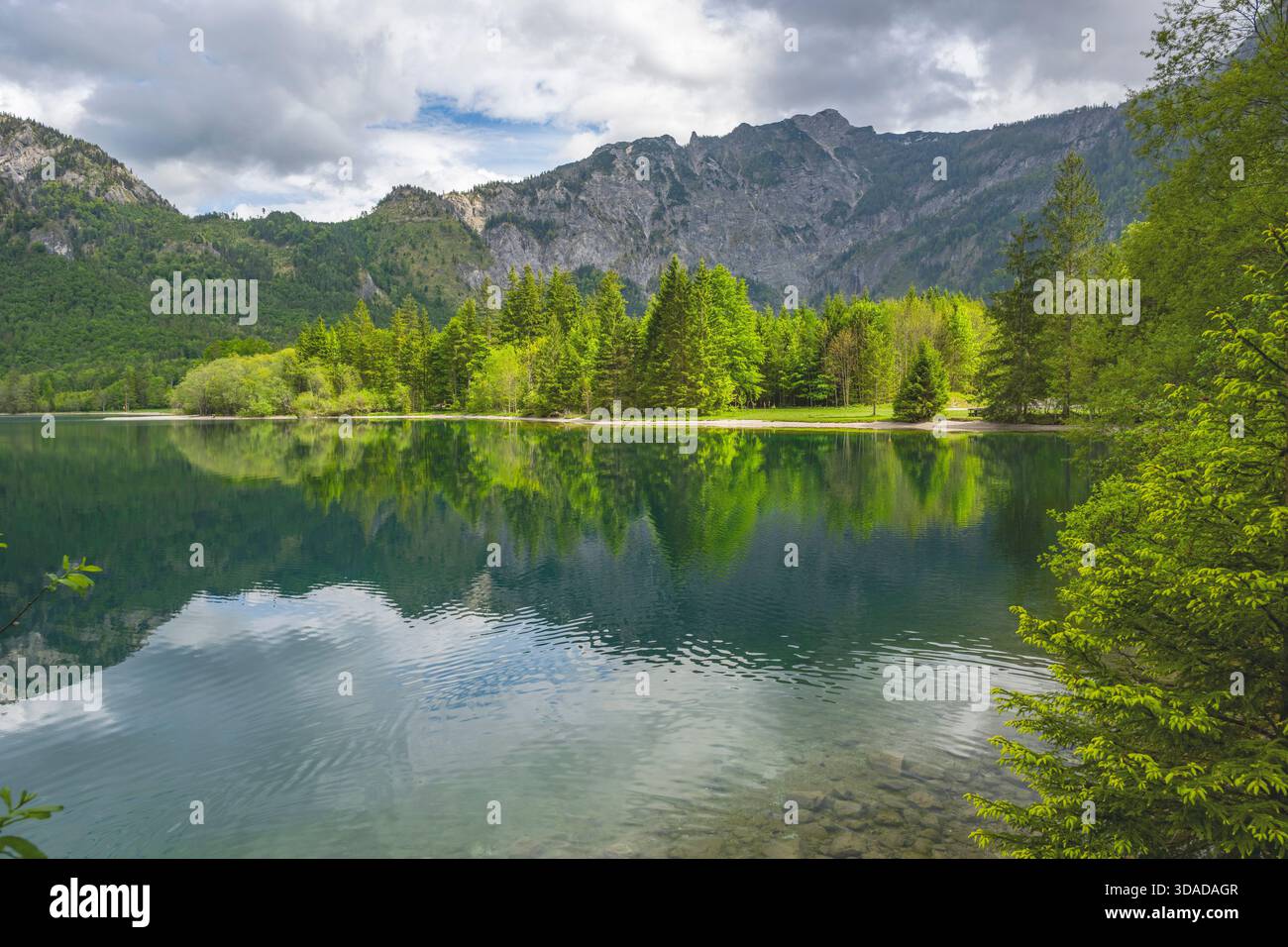 lago Offensee in primavera, Austria, alta Austria, Salzkammergut Foto Stock