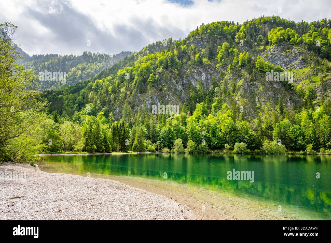 lago Offensee in primavera, Austria, alta Austria, Salzkammergut Foto Stock