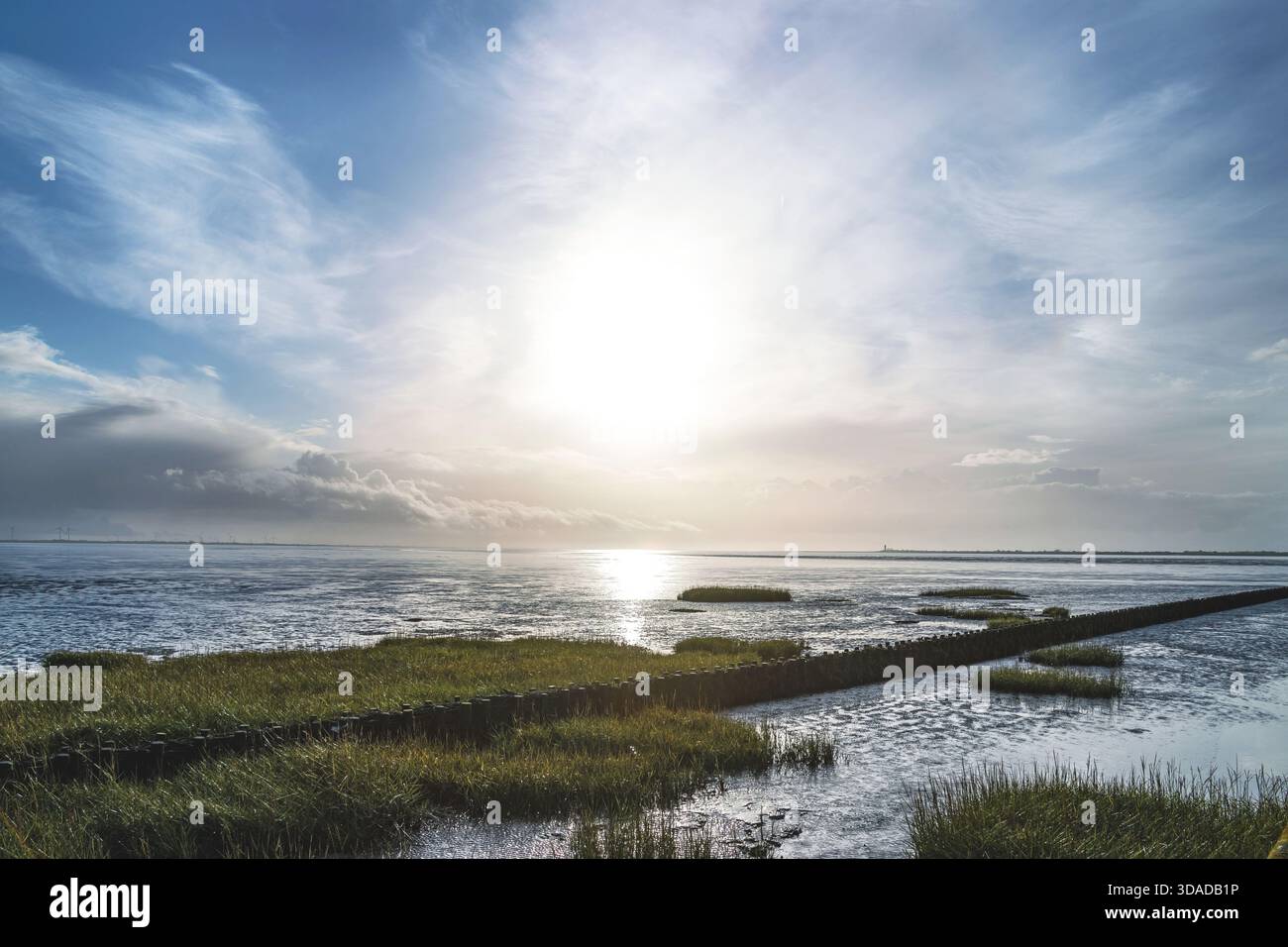 Vista di Suederhafen, Nordstrand al sole basso, Germania, Schleswig-Holstein, Schobuell Foto Stock