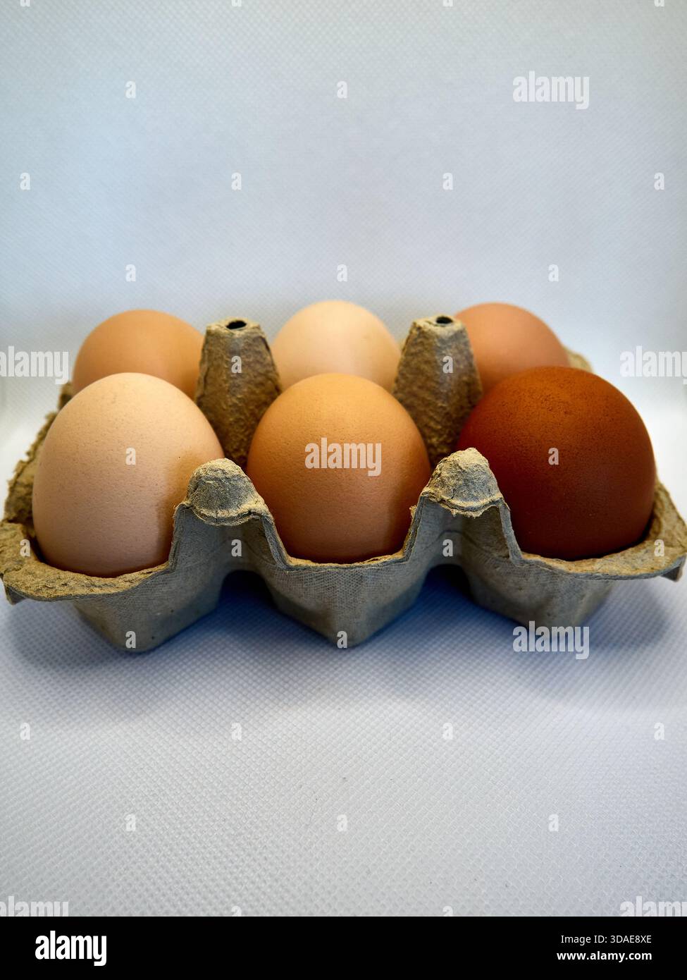 Mezza dozzina di uova fresche di colore marrone in cartone riciclato Foto Stock