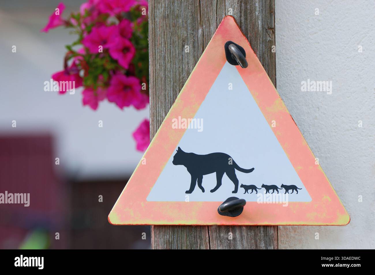 Cartello In Alluminio Umoristico Opossum - This Property Is Protected By Highly Trained... 20x30 Cm - 3