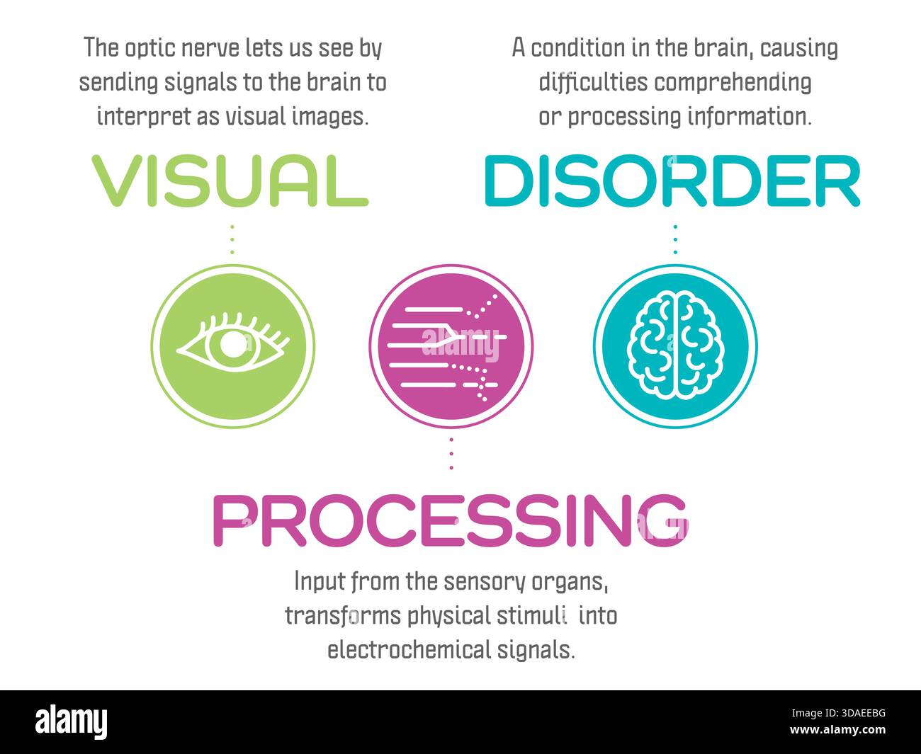 Disturbo dell'elaborazione visiva, VPD breve. Un disturbo dell'apprendimento se il cervello non riesce a elaborare correttamente ciò che vedi. Grafico delle informazioni vettoriali con descrittivo Illustrazione Vettoriale