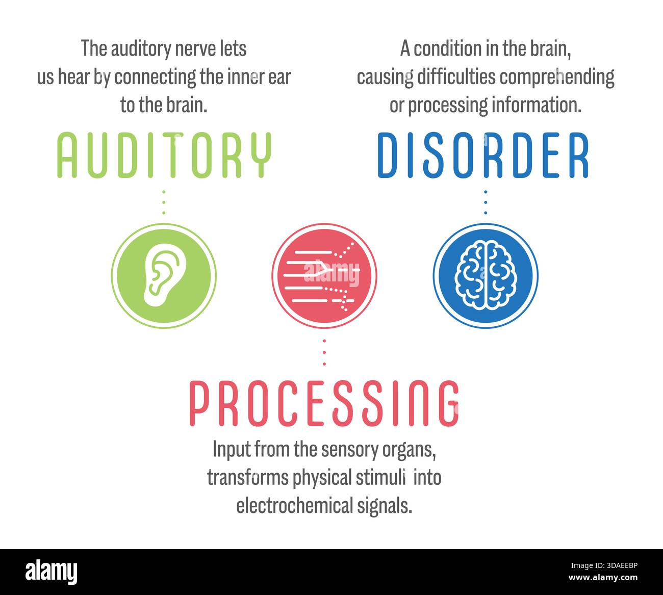 Disturbo dell'elaborazione uditiva, APD breve. Un disturbo dell'apprendimento se il cervello non riesce a elaborare correttamente ciò che si sente. Grafico delle informazioni vettoriali con descrittori Illustrazione Vettoriale