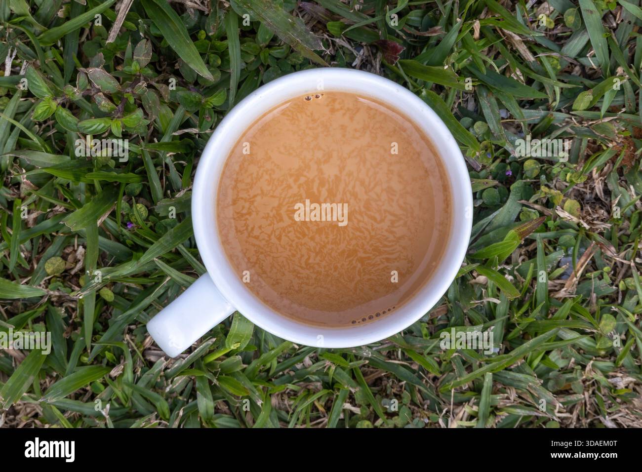 Vista dall'alto (piatto) di una classica tazza di ceramica bianca riempita di tè caldo al latte, posta su una superficie erbosa verde e vibrante all'aperto. Accogliente, rinfrescante Foto Stock
