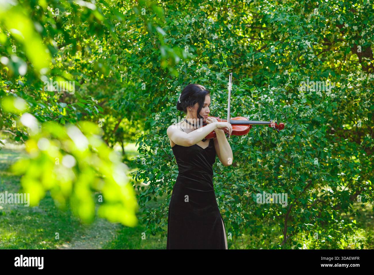 Un violinista suona appassionatamente in un lussureggiante giardino verde, circondato da un vivace fogliame. L'abito nero del musicista contrasta splendidamente con il vivace Foto Stock