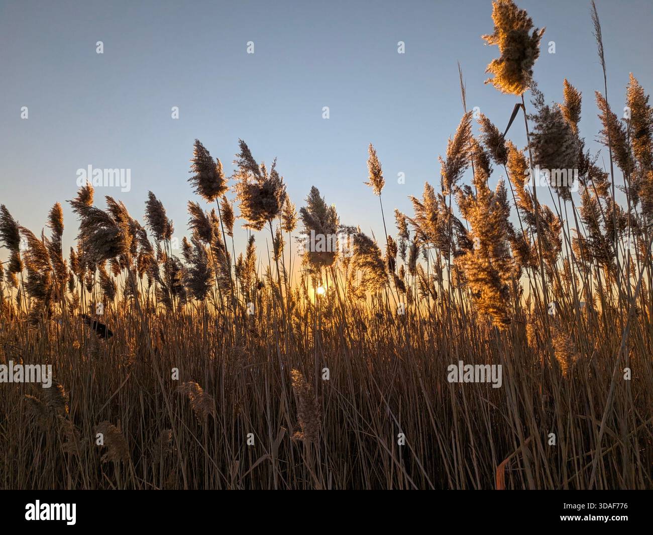 Tramonto di inverno Foto Stock