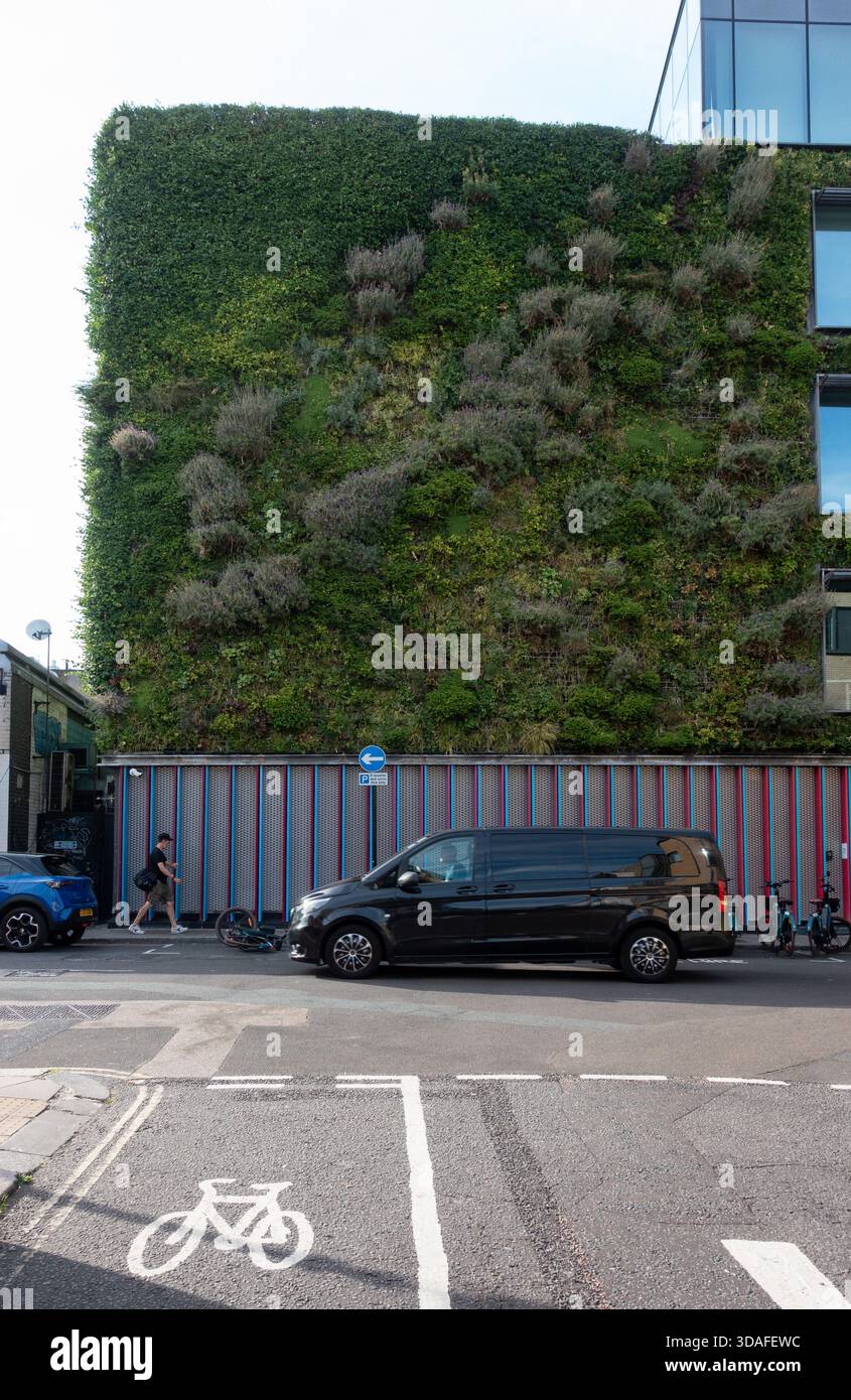 Living Wall, edificio ricoperto di verde fogliame a Camden Town, Londra, Inghilterra Foto Stock