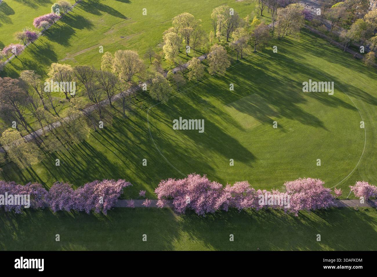Veduta aerea di un parco verdeggiante punteggiato da lunghe ombre e delimitato da vivaci fiori rosa, Lauriston, Scozia, Regno Unito. Foto Stock