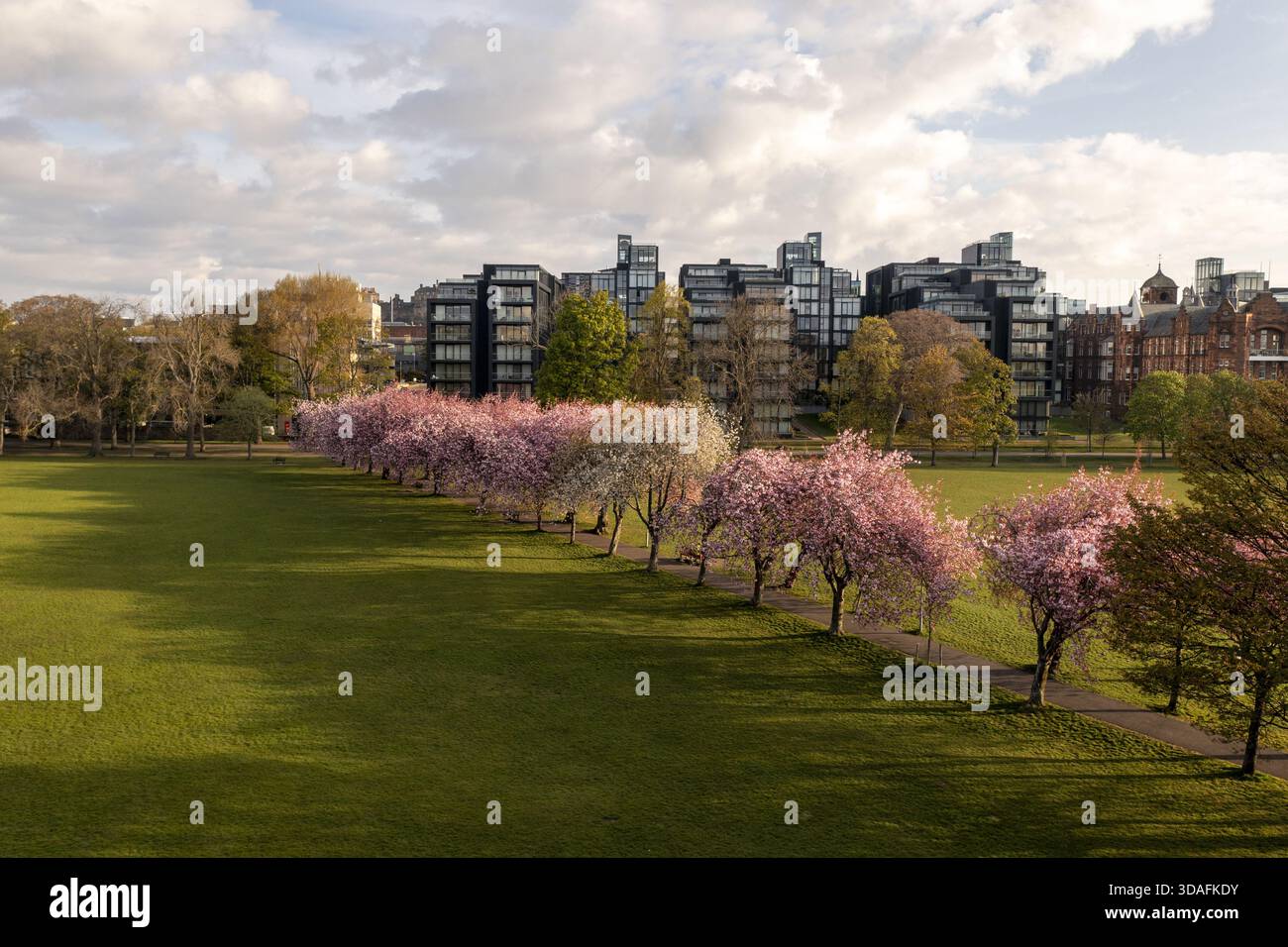 Veduta aerea di un vivace parco verde fiancheggiato da alberi rosa in fiore che contrastano con l'architettura moderna e i sentieri tortuosi, Lauriston, Scozia Foto Stock