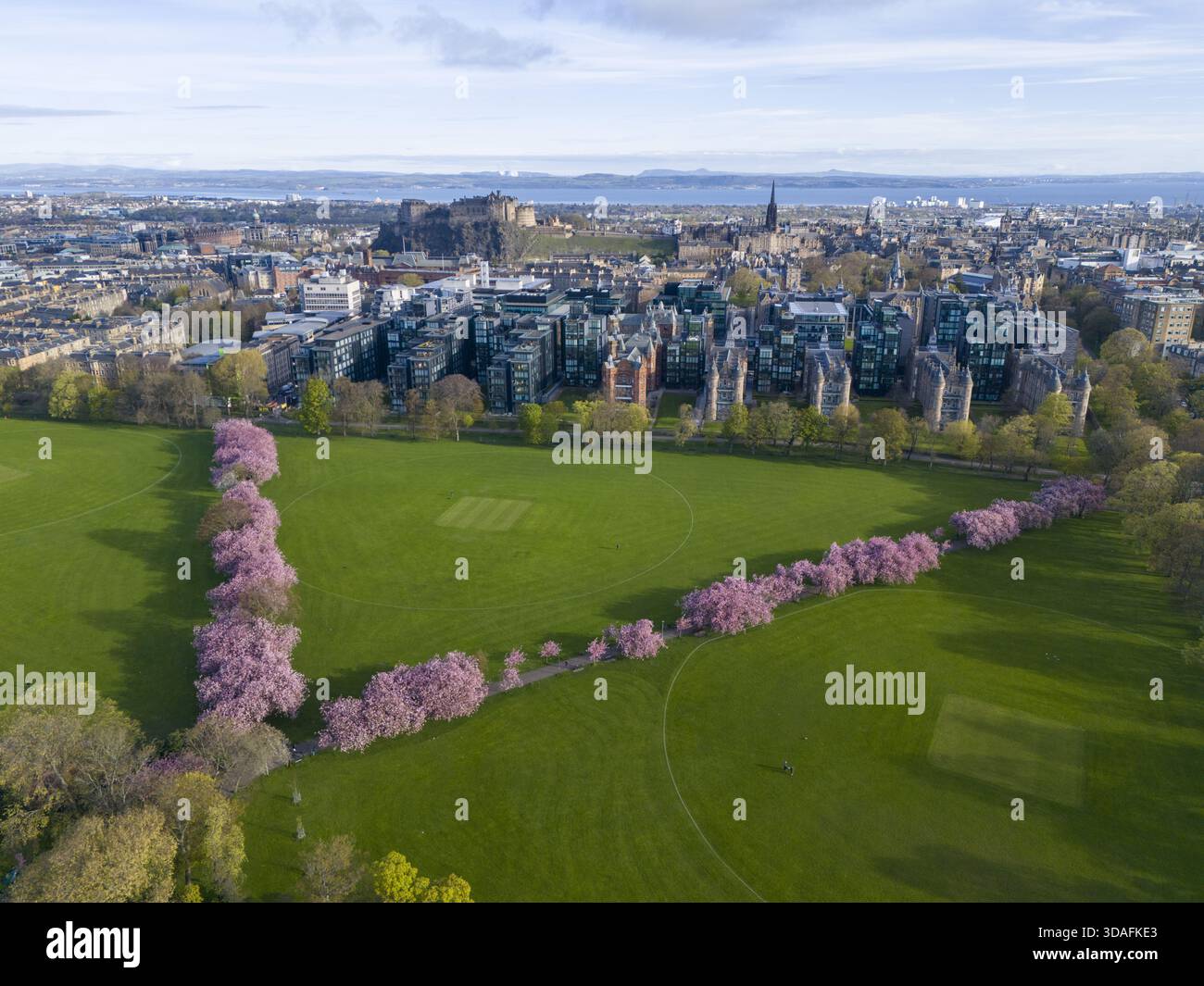 Veduta aerea degli alberi di ciliegio rosa che fioriscono i lussureggianti campi verdi che conducono verso lo skyline della città con il Castello di Edimburgo arroccato in cima a Lauriston, S. Foto Stock