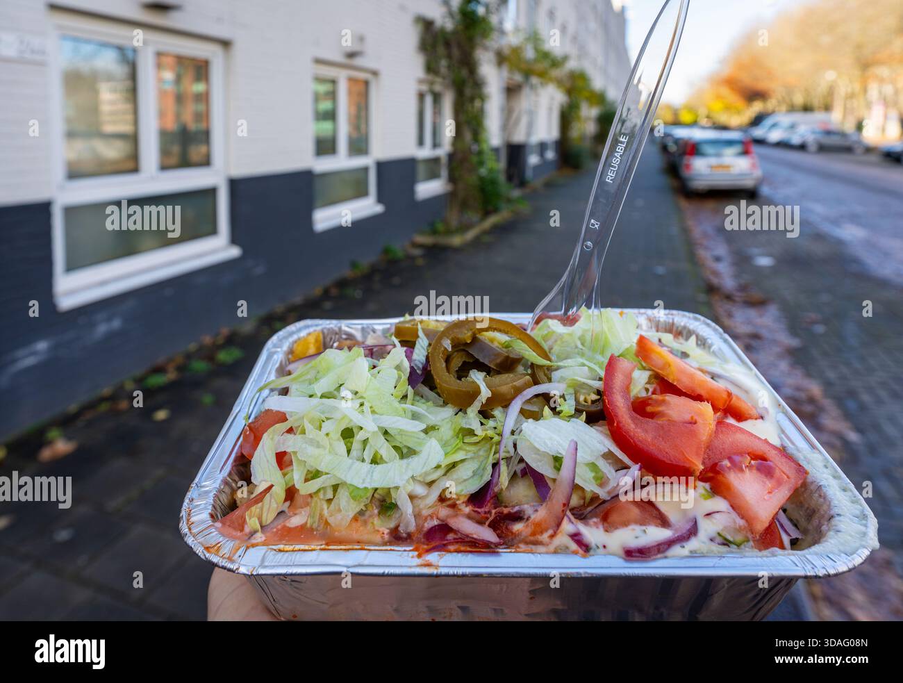 Kapsalon olandese in vassoio da asporto, popolare fast food nei Paesi Bassi Foto Stock