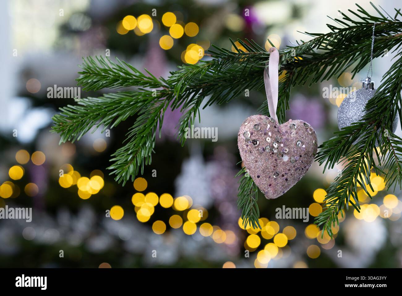 Ornamento rosa glitter a forma di cuore di Natale appeso a un ramo di pino con calde luci bokeh dorate sullo sfondo, eleganti decorazioni natalizie Foto Stock