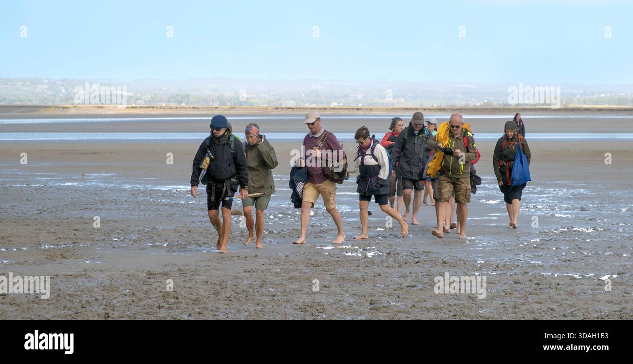 La gente cammina a piedi nudi nella baia marea di Mont-Saint-Michel , Normandia, Francia Foto Stock