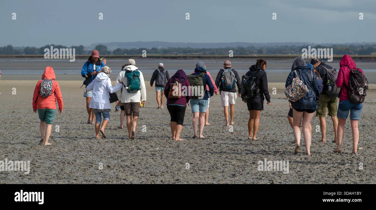 La gente cammina a piedi nudi sulle distese di fango della baia delle maree intorno a Mont-Saint-Michel, Normandia, Francia Foto Stock