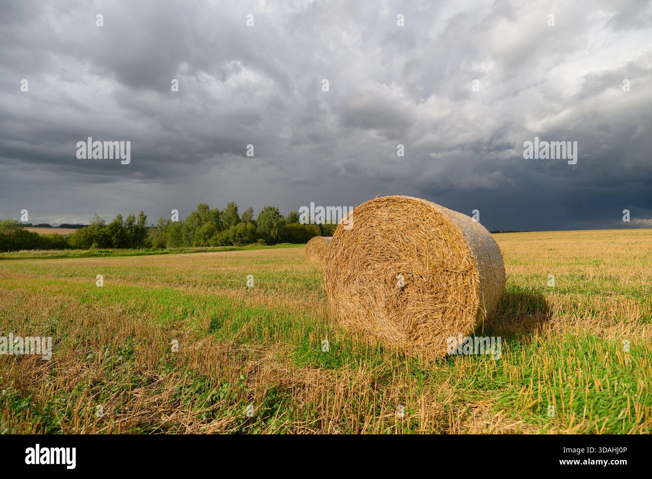 Una balla di fieno solitaria si trova in un campo vivace sotto un cielo spettacolare, incarnando la tranquillità e la pace rurale Foto Stock