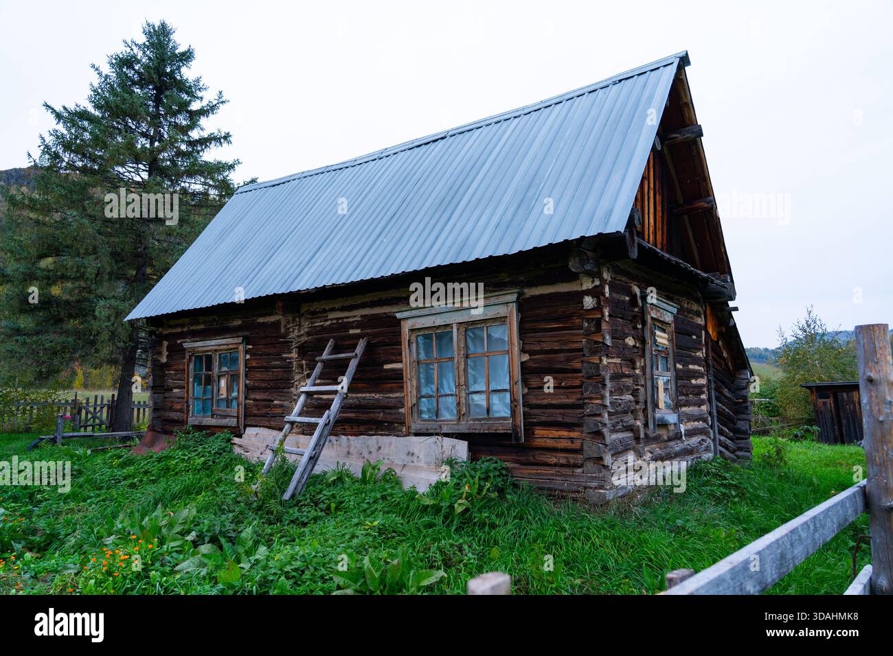 Una vista dettagliata di una vecchia cabina rustica in legno con tetto in metallo ondulato, con telai delle finestre in legno e una semplice scala appoggiata sulla parte anteriore, Foto Stock