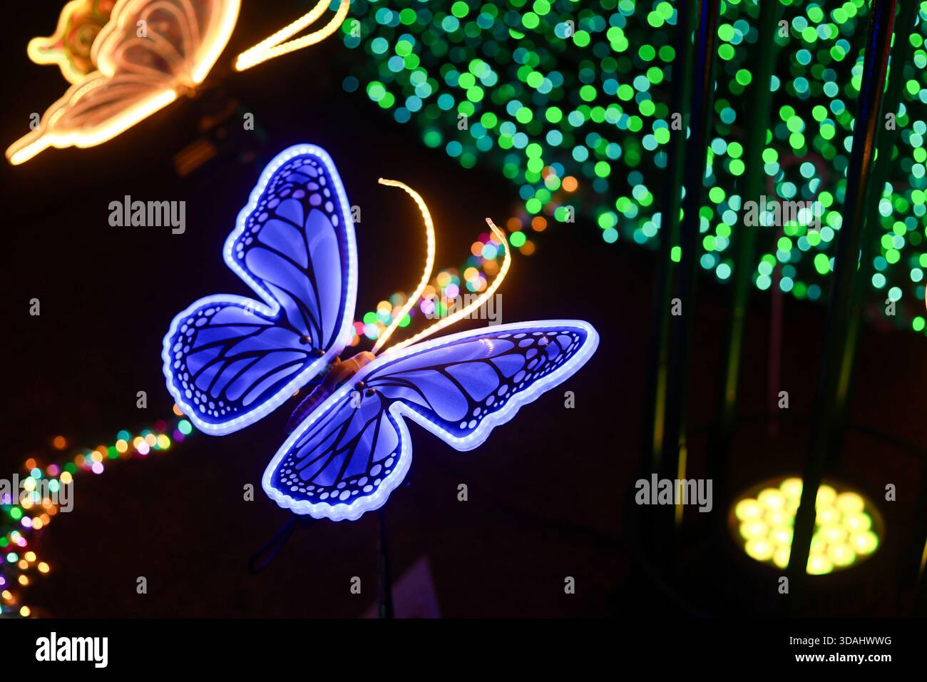 Installazione della luce a farfalla blu brillante di notte. Questo incantevole e magico display è caratterizzato da un design vibrante e astratto con ali ancora illuminate Foto Stock