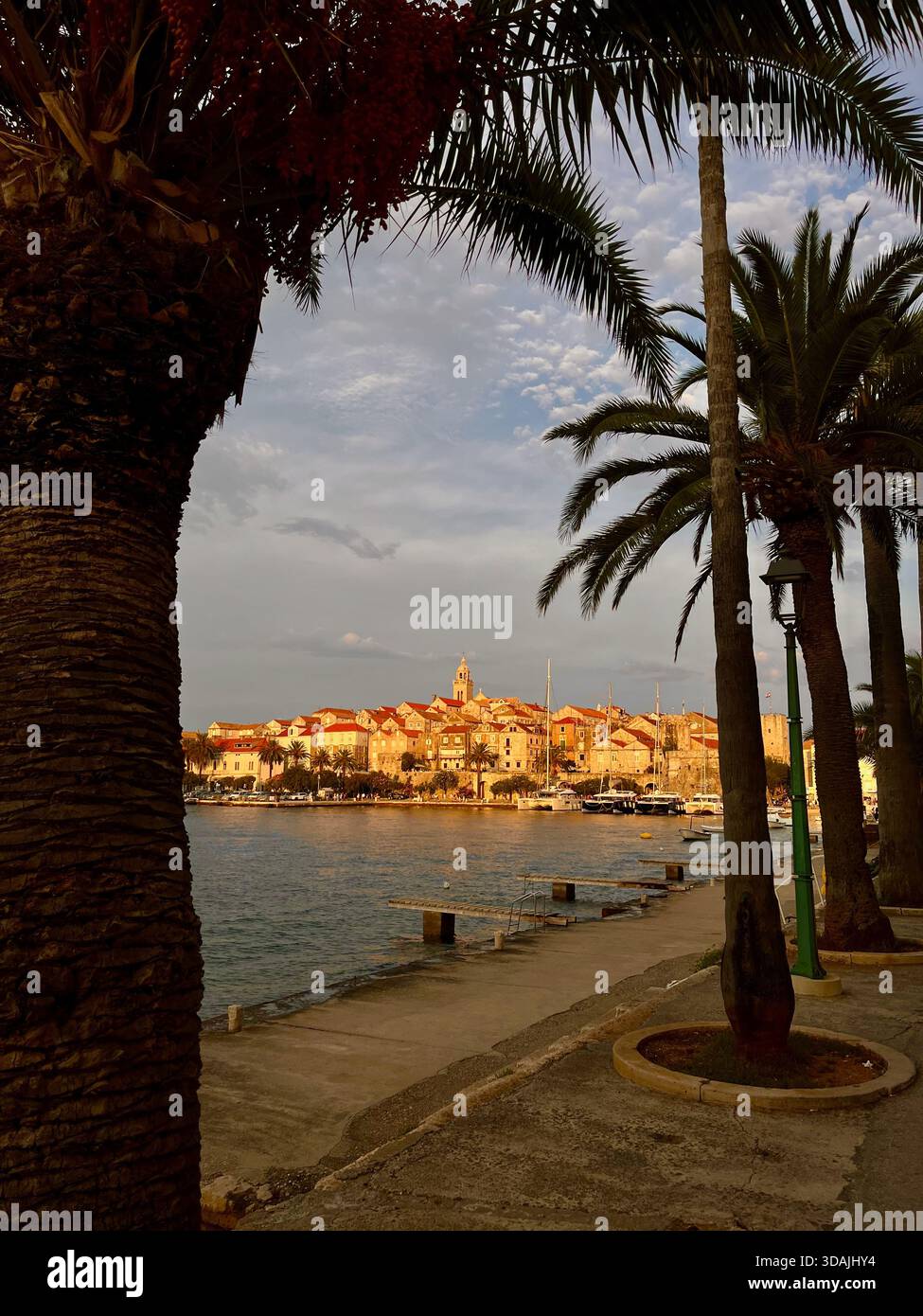 Passeggiata alberata di palme che incornicia la città vecchia di Korčula illuminata dalla luce soffusa delle prime ore della sera. - Immagine stock catturata con smartphone