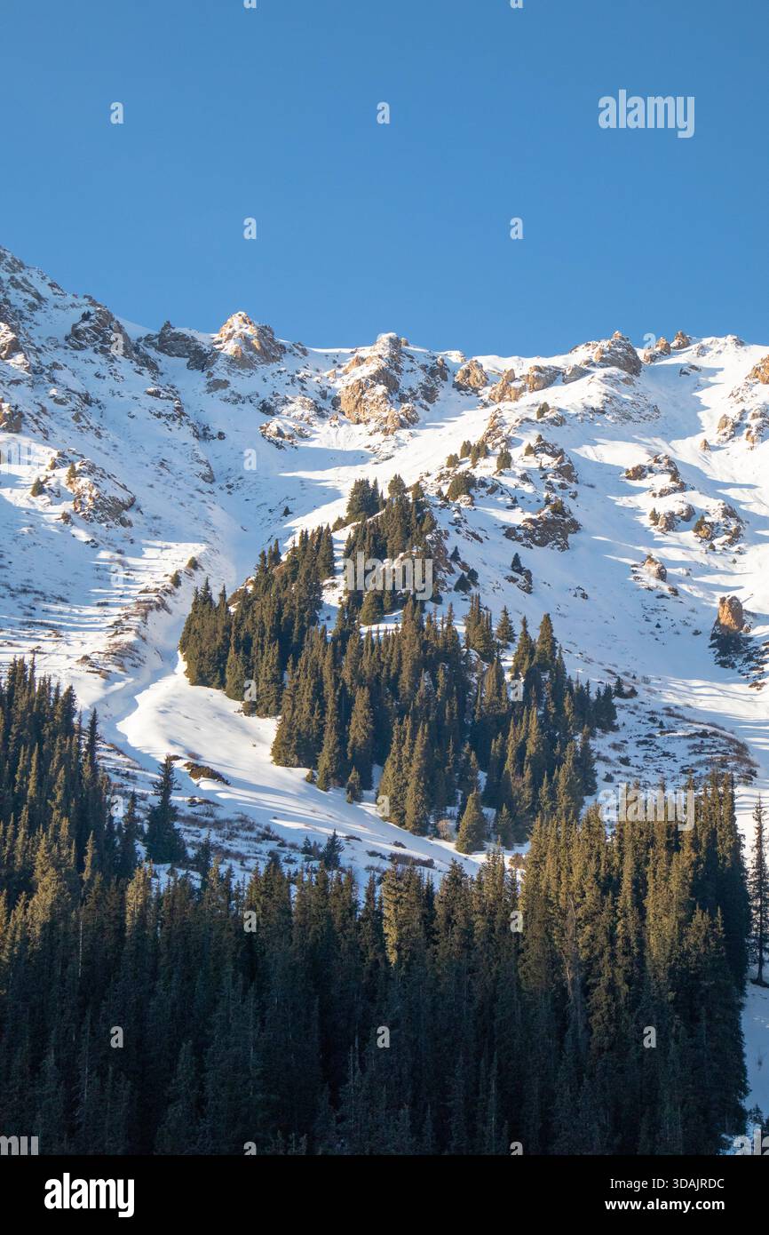 Ripresa verticale di un ripido pendio di montagna ricoperto di neve con abeti e rocce sparse Foto Stock