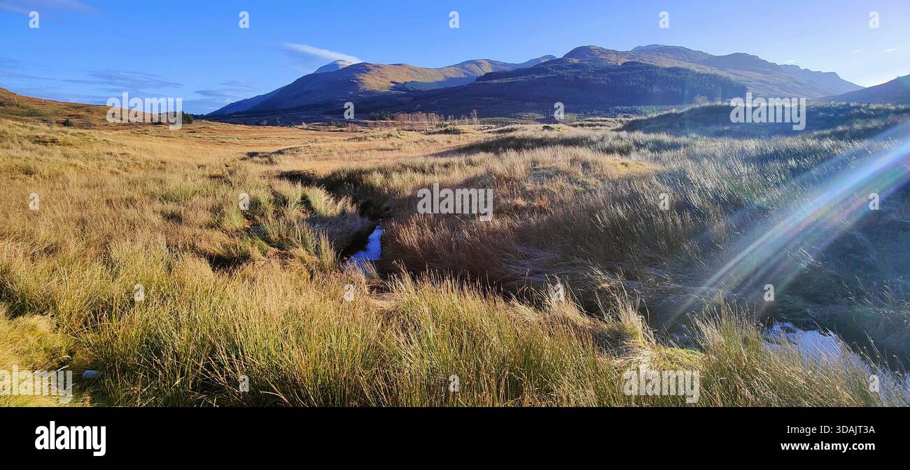 Una vista delle Highlands scozzesi autunnali e dei loro ricchi colori in una mattinata di sole vicino a Crianlarich. Foto Stock