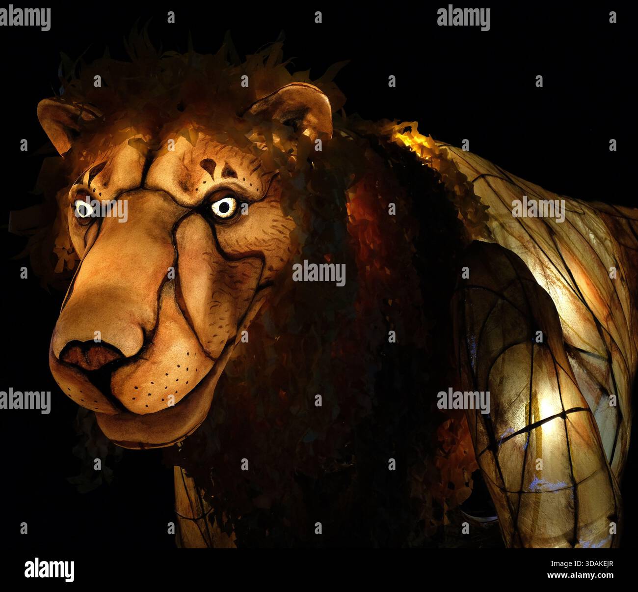 Lion Lantern at Lanterns & Lights Chester Zoo Upton-by-Chester, Chester, CH2 1EU Inghilterra Regno Unito registrata Charity No. 306077 Foto Stock