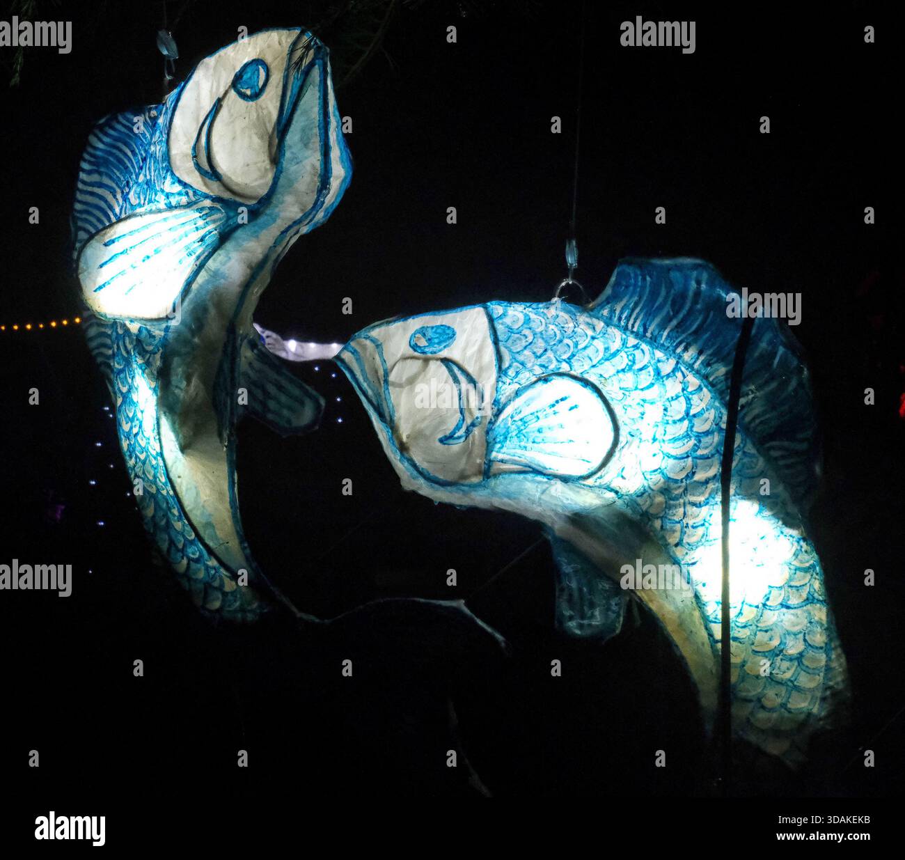 Lanterne e luci Blue Fishes: Chester Zoo Upton-by-Chester, Chester, CH2 1EU Registered Charity No. 306077 Foto Stock