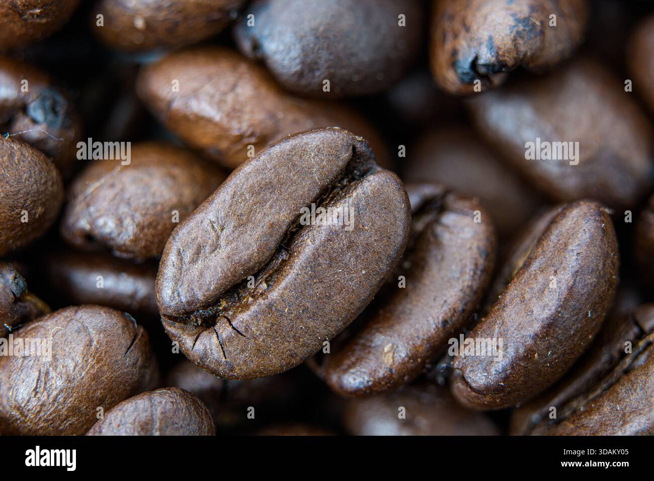 Primo piano di chicchi di caffè tostati con una consistenza marrone ricca. Foto Stock