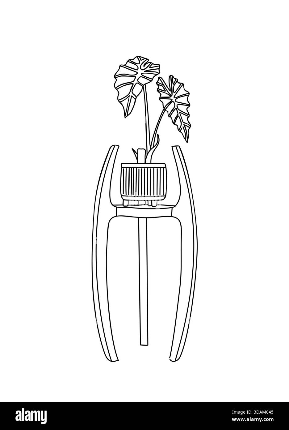 Pianta in vaso con foglie a ventaglio sul supporto Illustrazione Vettoriale
