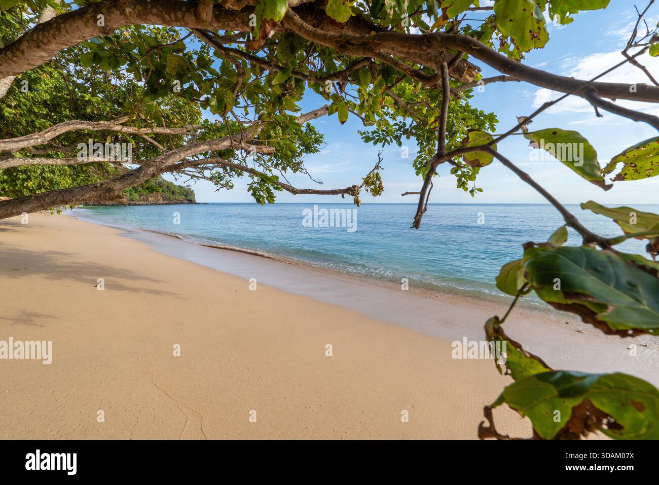 Cornice naturale di foglie verdi su una tranquilla spiaggia di sabbia con impronte visibili durante l'ora d'oro. Evoca pace, fuga e vacanza tropicale. Foto Stock