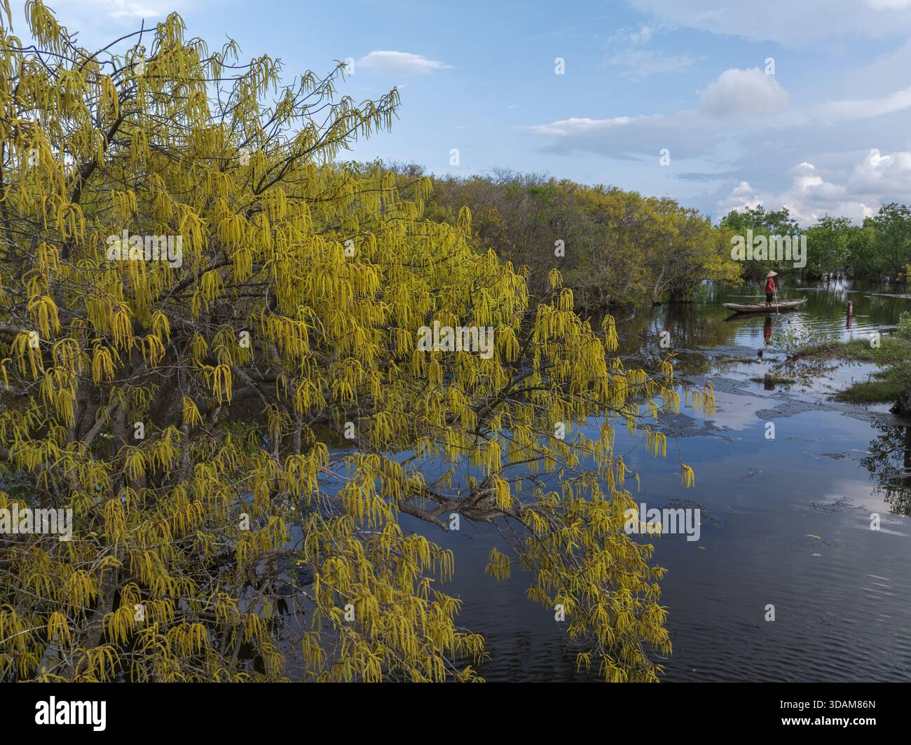 Vista aerea di alberi dorati che proiettano un vibrante bagliore sulle acque tranquille, una figura solitaria che si sposta lungo il corso d'acqua, Huong tra, Hue City, Vietn Foto Stock
