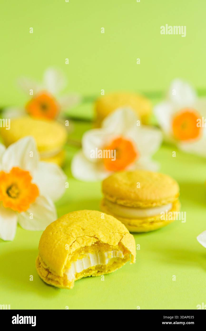 Macaron francesi gialli su sfondo verde, con fiori di narcisi gialli in una luce soffusa Foto Stock