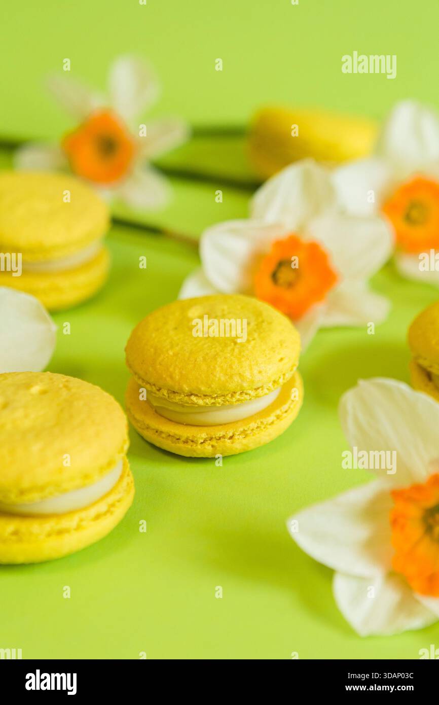 Macaron francesi gialli su sfondo verde, con fiori di narcisi gialli in una luce soffusa Foto Stock