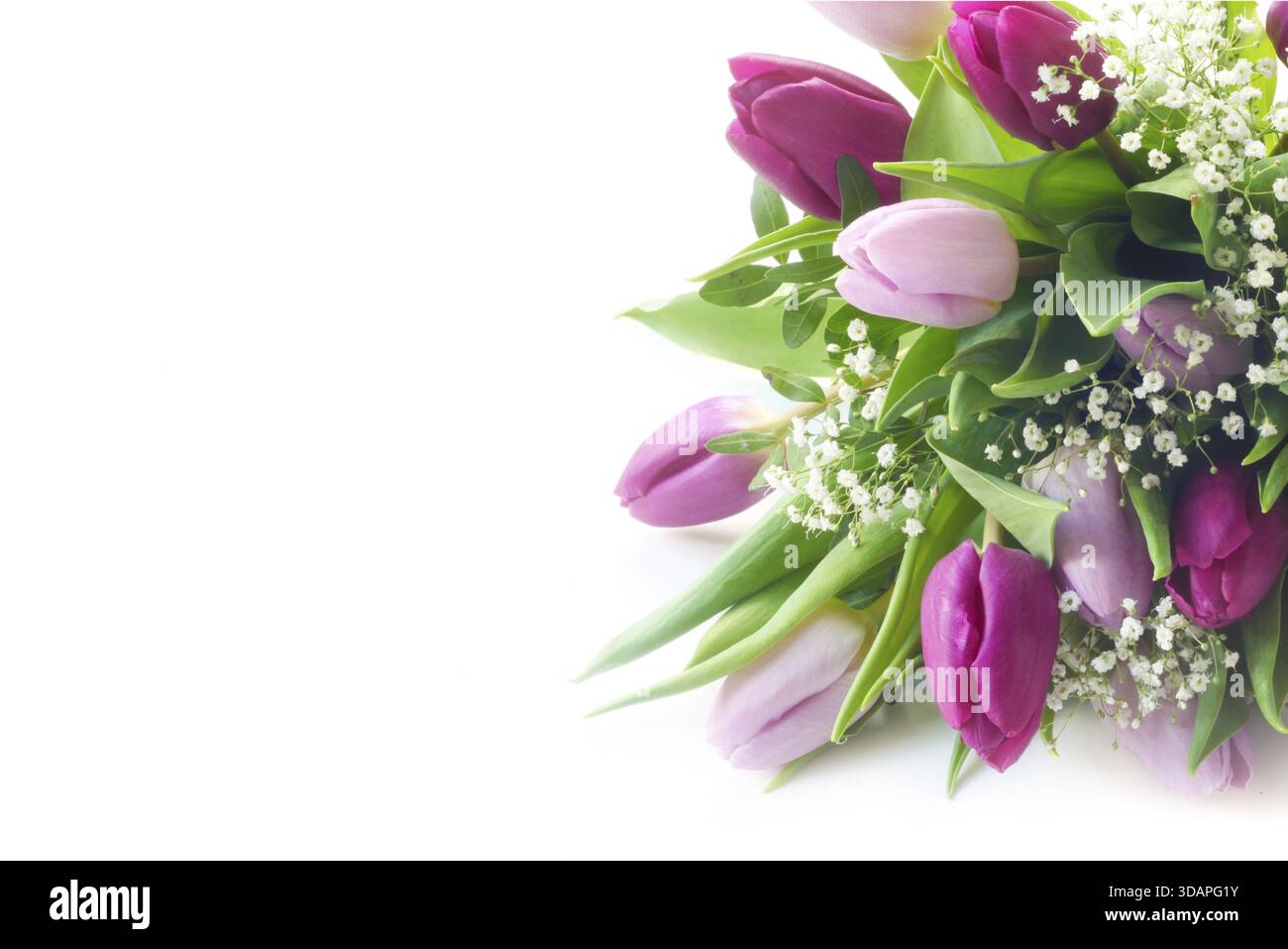 Cibo, Un mucchio di tulipani isolati su White Foto Stock