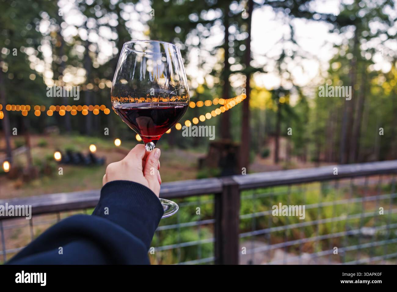 Una mano regge un bicchiere di vino rosso sullo sfondo di un'area boschiva con luci a corda che creano un'atmosfera calda. Foto Stock