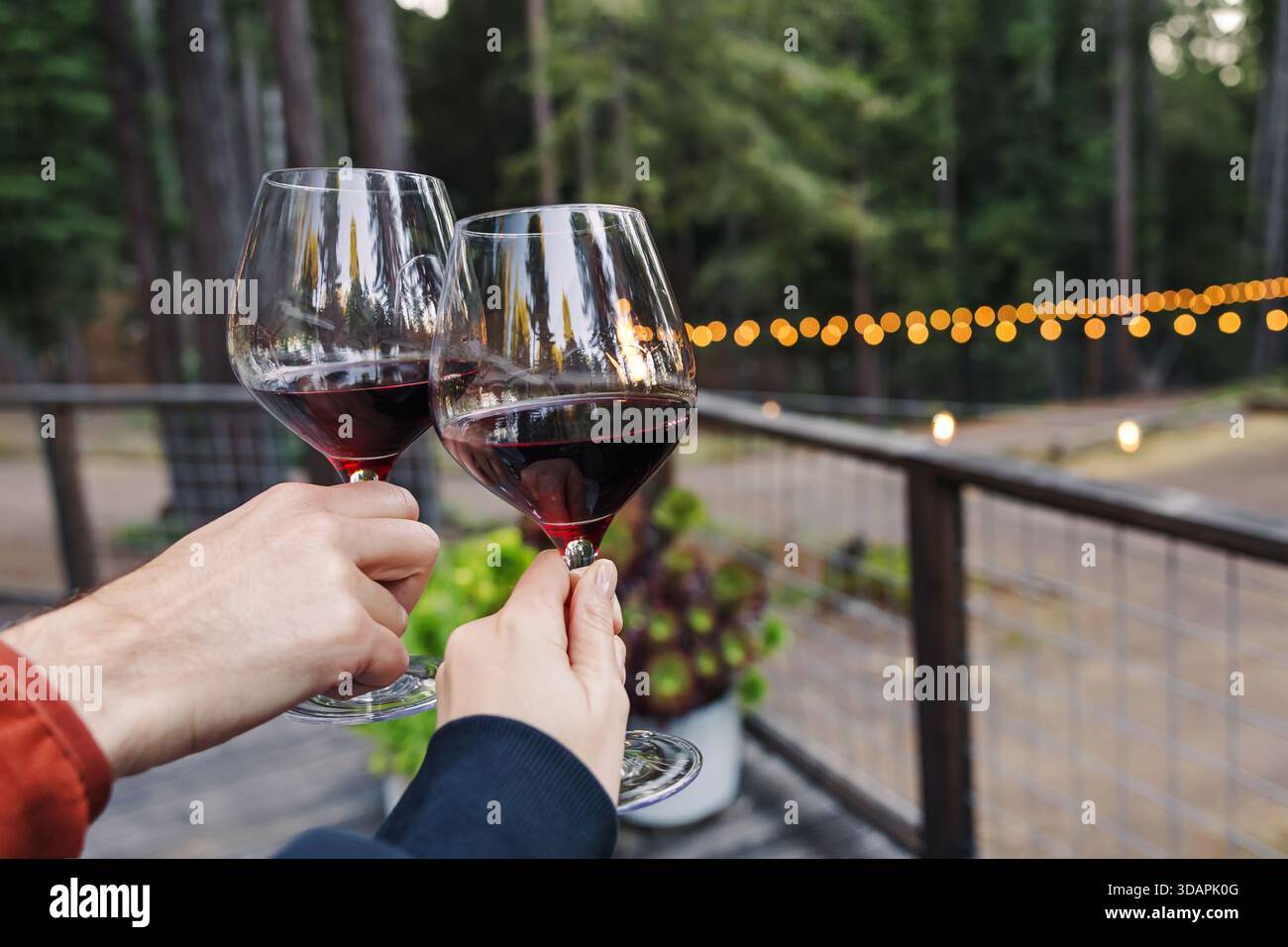 Due persone mescolano bicchieri di vino rosso su un ponte di legno circondato da una foresta. Le calde luci a corda creano un'atmosfera accogliente e festosa. Foto Stock