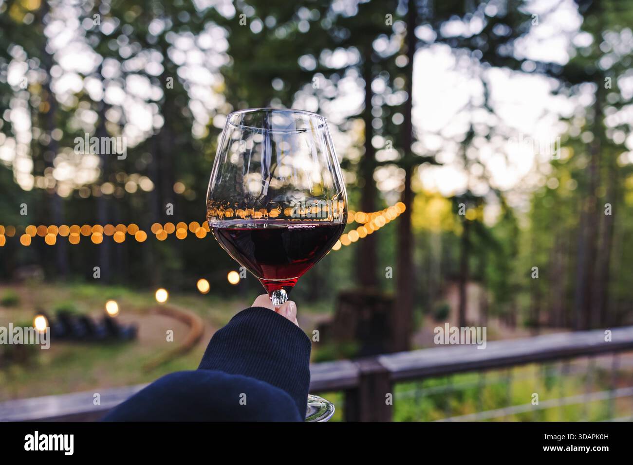 Una mano regge un bicchiere di vino rosso sullo sfondo di una foresta con luci a corda che creano un'atmosfera calda e invitante. Foto Stock