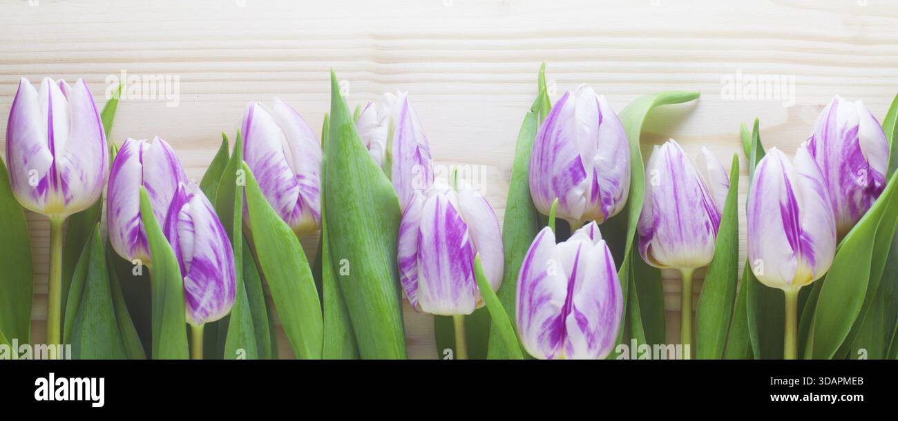 Cibo, tulipani viola e bianchi su sfondo di legno Foto Stock